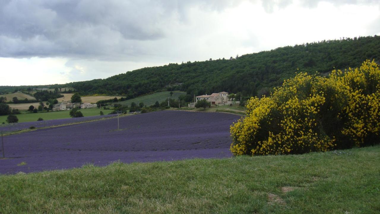 La Maison Bleue Sault Eksteriør billede